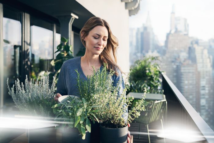 Giovane donna che coltiva delle erbe aromatiche sul suo balcone di casa