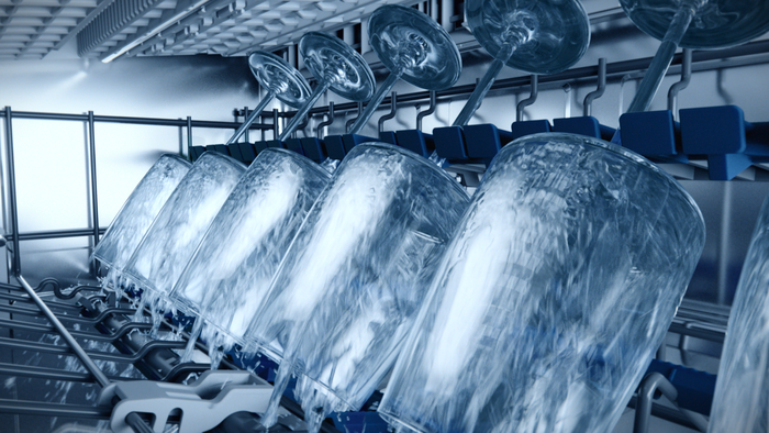 
       Fem vinglas spr&oslash;jtes med vand inde i glassZone i en Siemens opvaskemaskine.
      