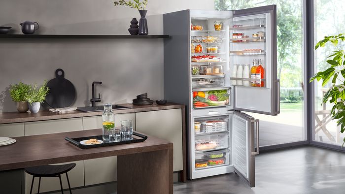 La guida completa alla scelta dei frigoriferi per auto - Legge