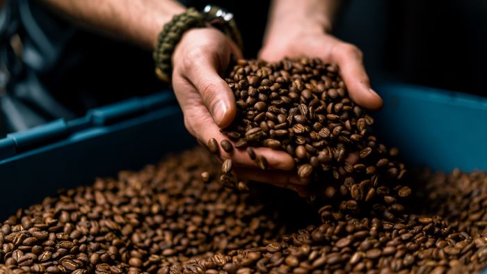 Hands holding coffee beans