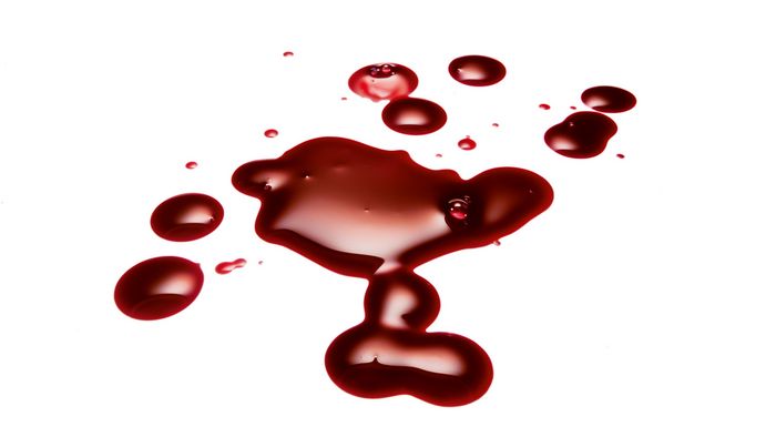 Tropfen frischen Blutes