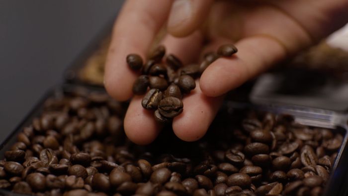 Een hand houdt koffiebonen vast boven het bonenreservoir van een Siemens koffiemachine.