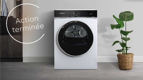 S&egrave;che-linge Siemens dans une buanderie moderne. Une plante verte dans un panier tress&eacute; est plac&eacute;e &agrave; c&ocirc;t&eacute; de l&rsquo;appareil.