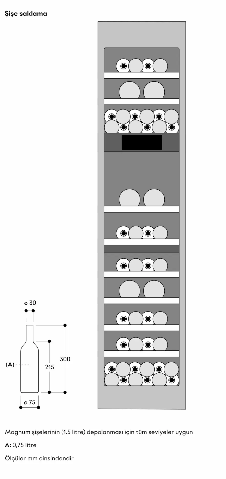 Fotoğrafın baş parmak Nr. 6 ürününün ürünü