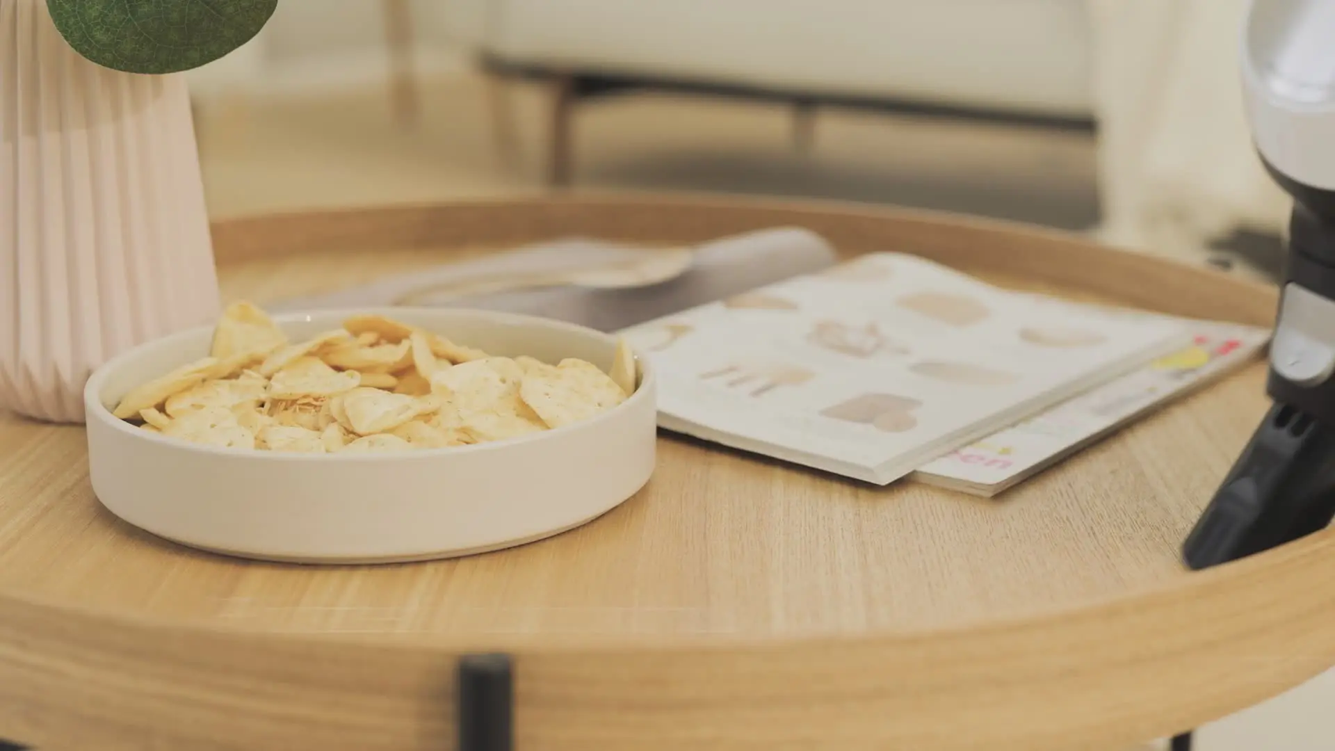 Palm Video Nr. 24 výrobku