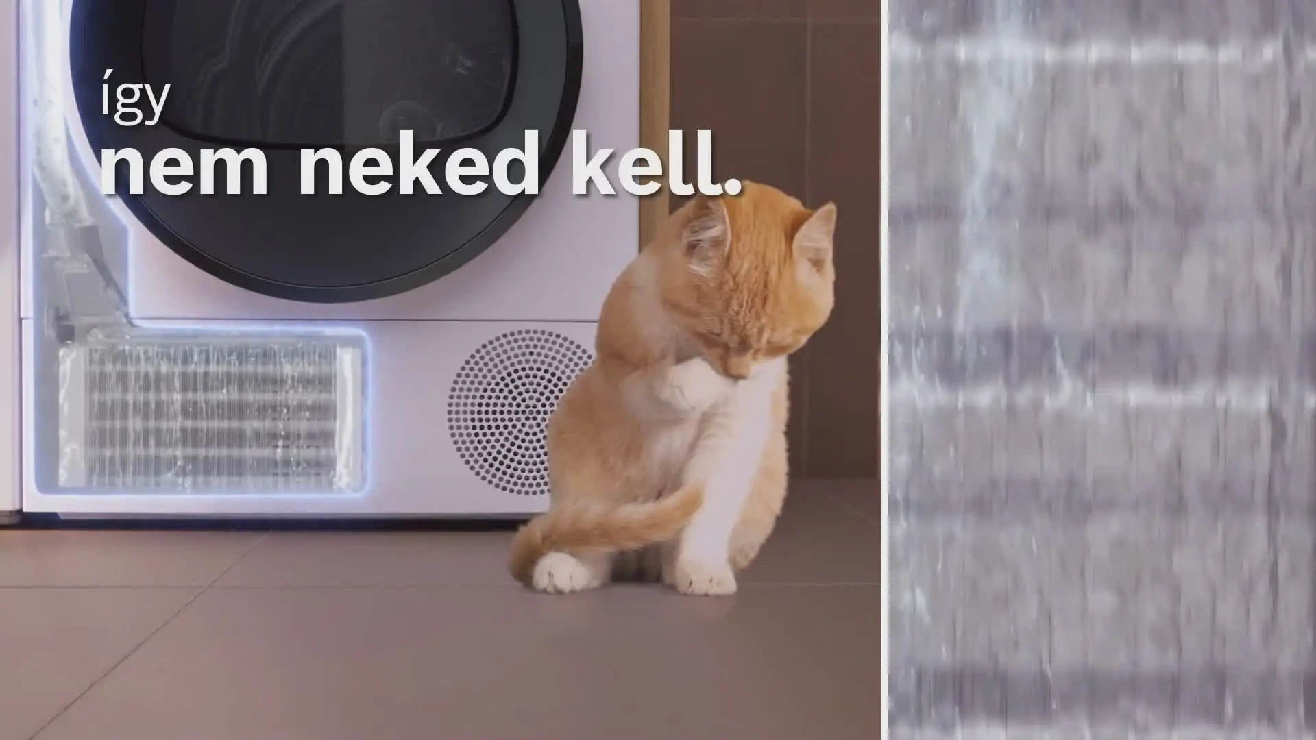 Videó a termék Nr. 16 számáról