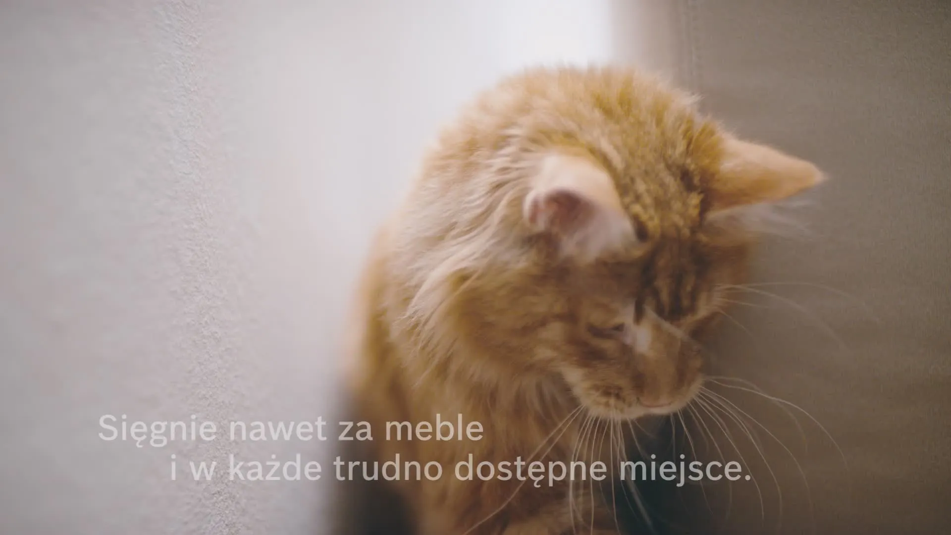 Wideo produktu nr 3  BBS61PET2