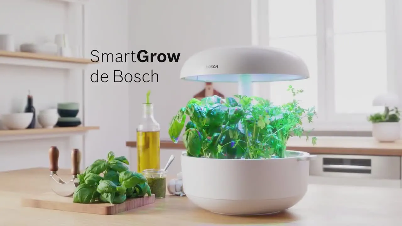 Vidéo n° 11 du produit MSGP6