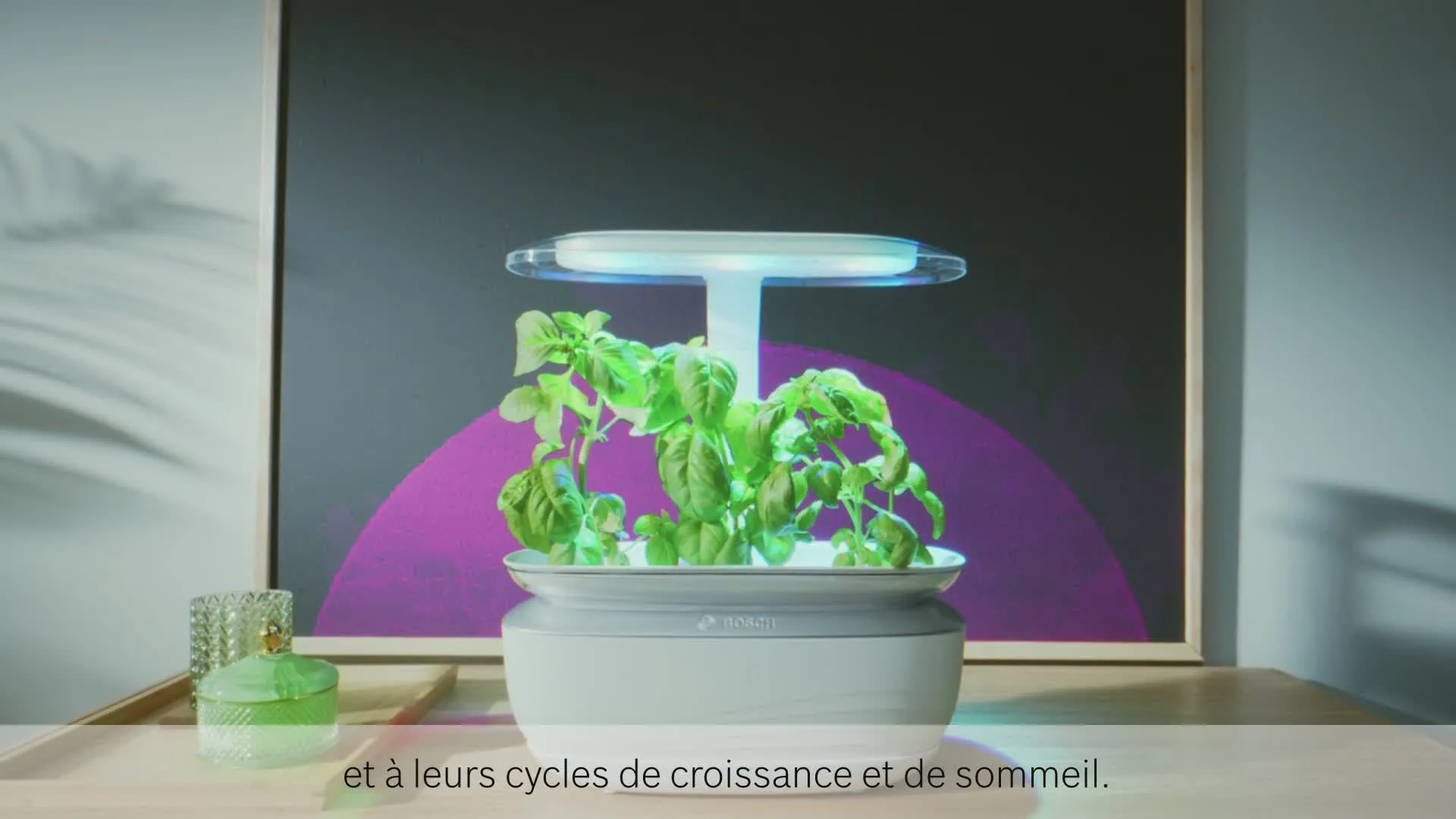 Vidéo n° 10 du produit MSGP3L