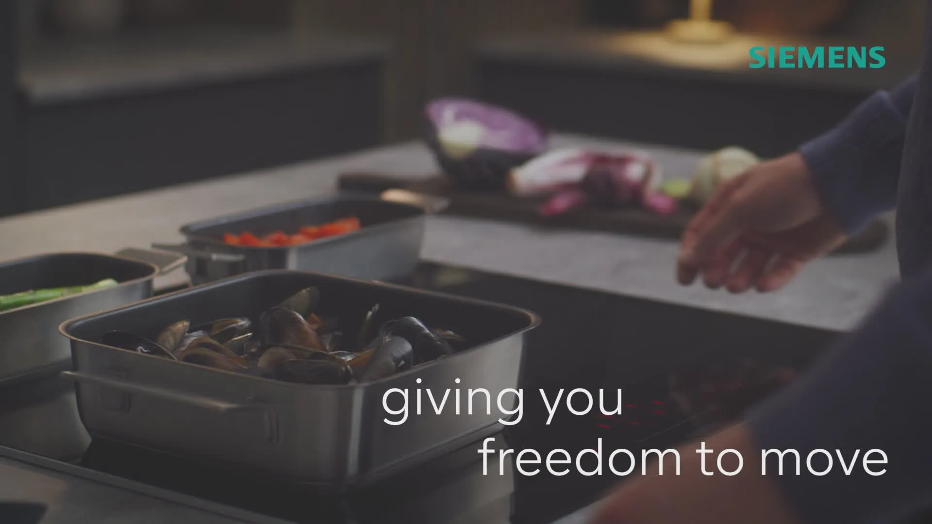 Video Nr. 11 of the product EX851HVC1E