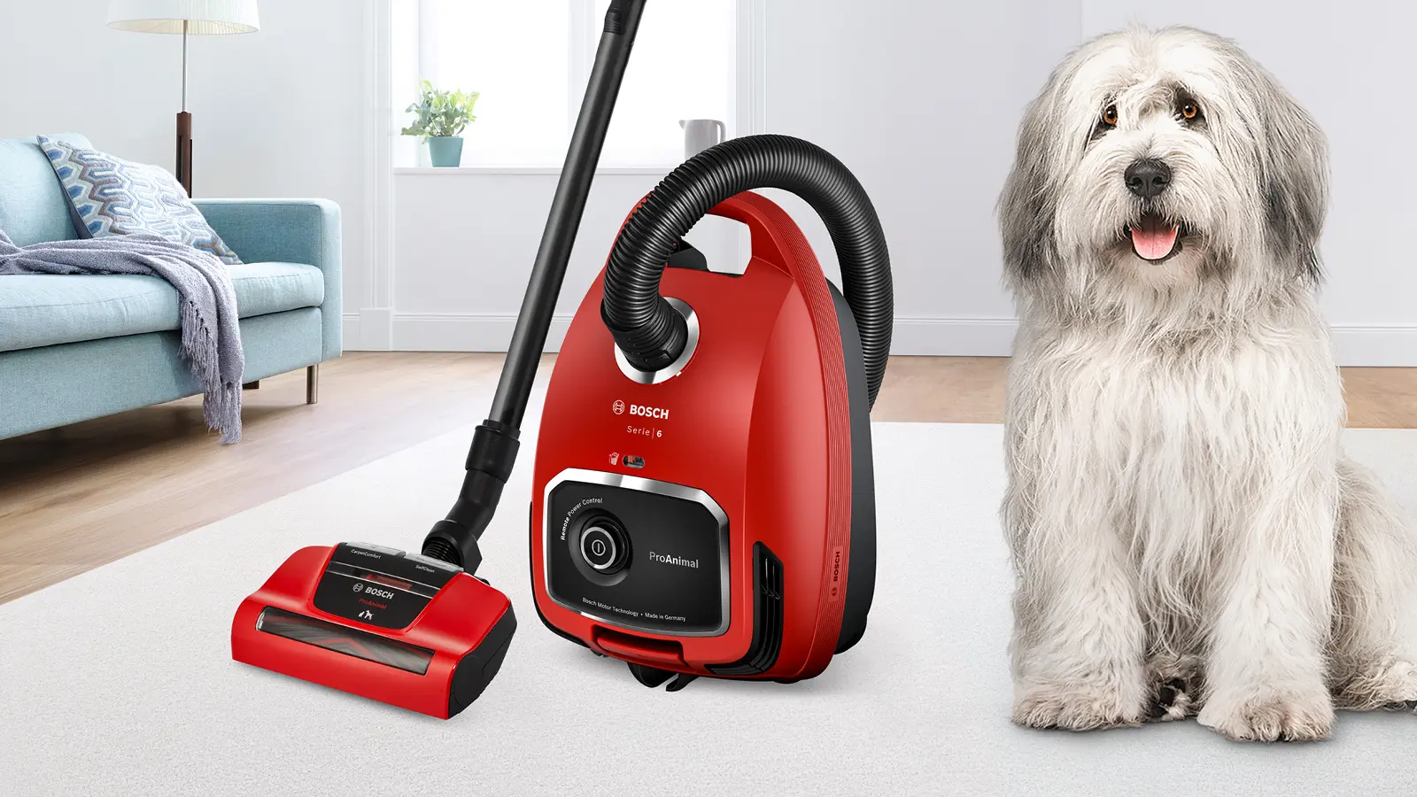 Foto nr. 2 van het product BGL6PET1