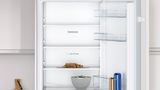 Einbau-Kühl-Gefrier-Kombination mit Gefrierbereich unten 177.2 x 54.1 cm Flachscharnier CK786EFE0 CK786EFE0-3