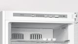 Ελεύθερο δίπορτο ψυγείο 170 x 60 cm Λευκό PKNT30VW2A PKNT30VW2A-4