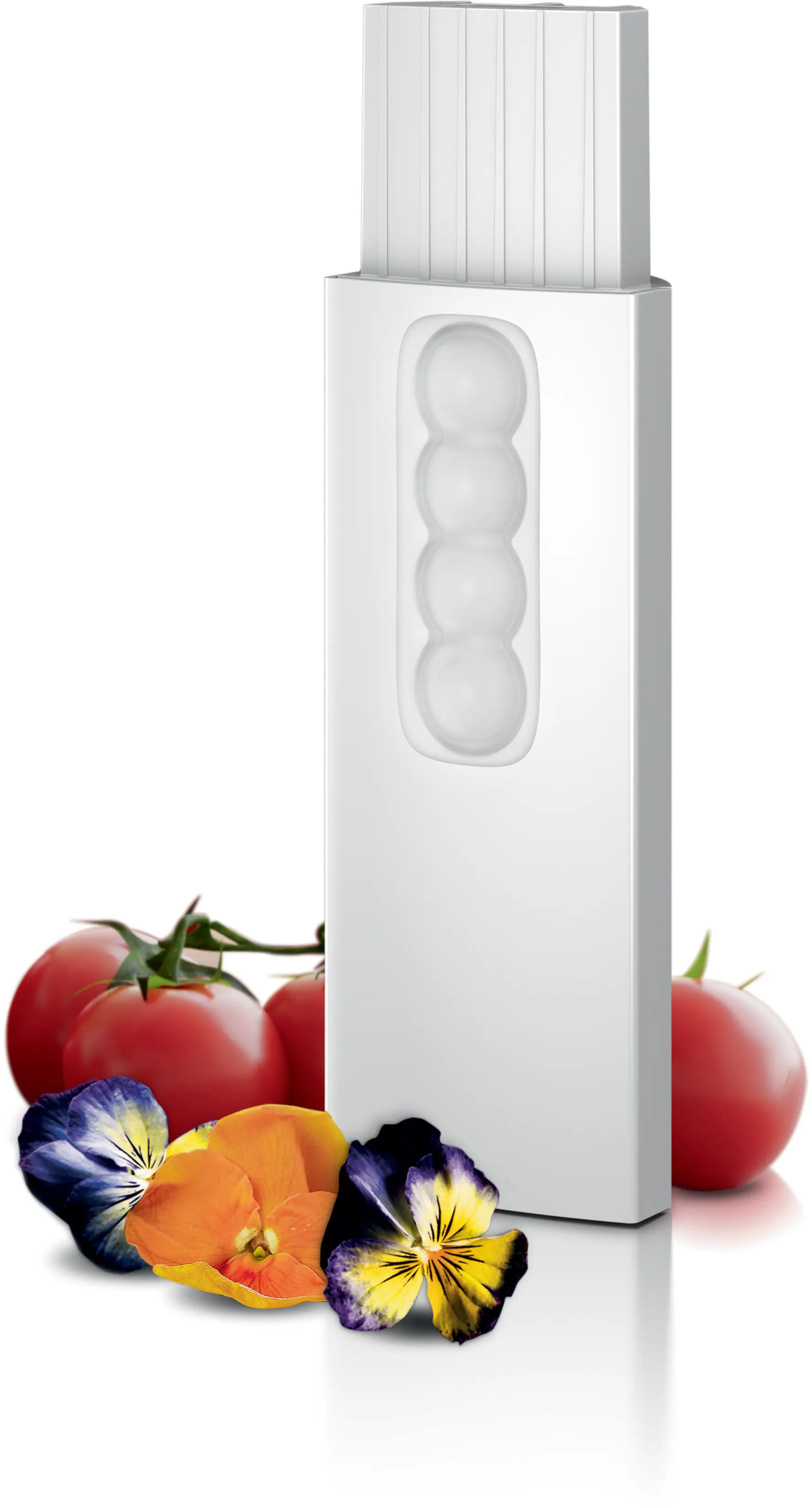 Foto-Vorschau Nr. 1 des Produkts