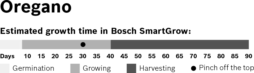 Foto n.º 3 del producto MSGZH012