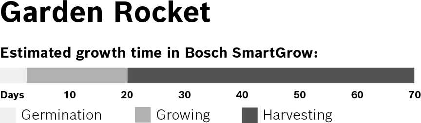 Foto n.º 3 del producto MSGZS009