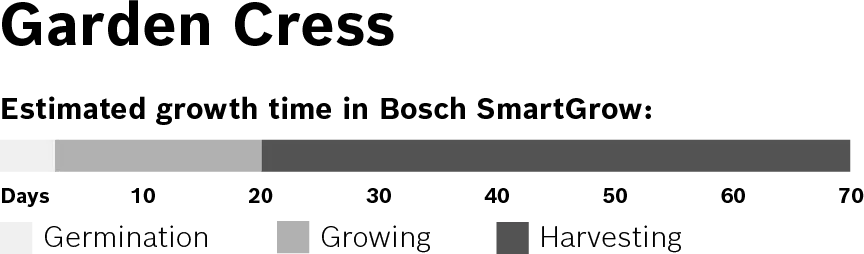 Foto n.º 3 del producto MSGZS010