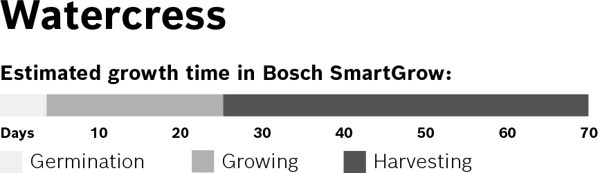 Foto n.º 3 del producto MSGZS018