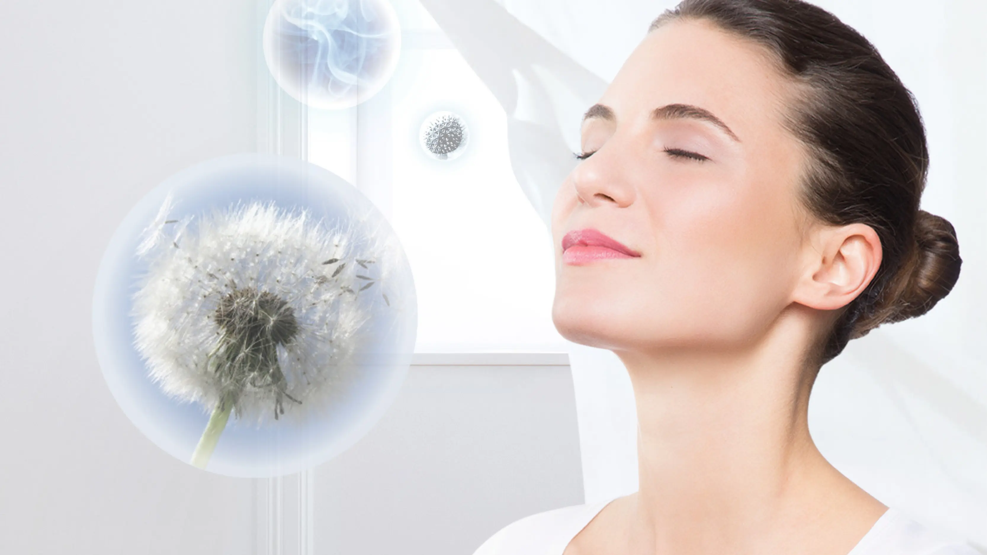 Ảnh thu nhỏ Nr. 12 của sản phẩm