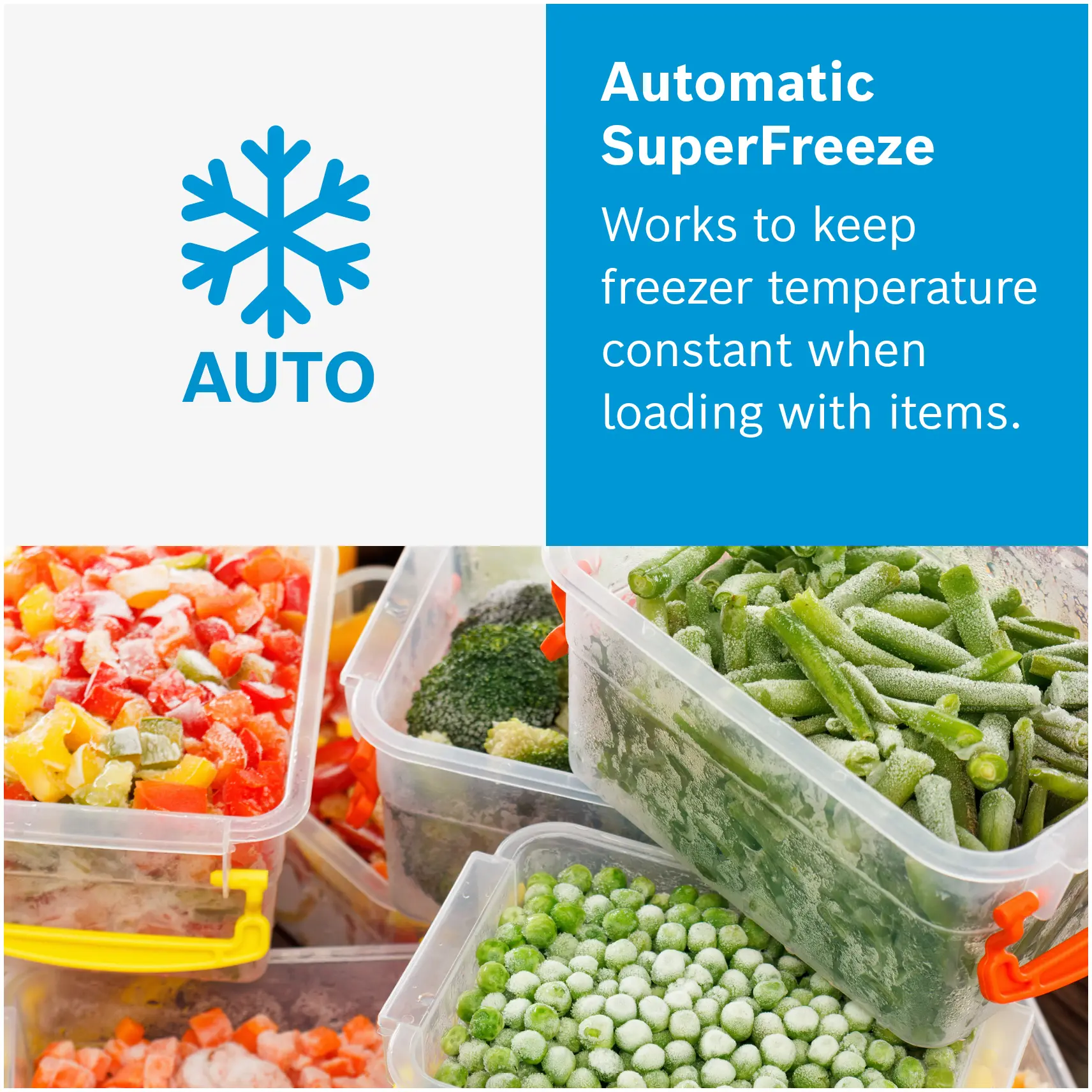 Photo thumb Nr. 12 of the product