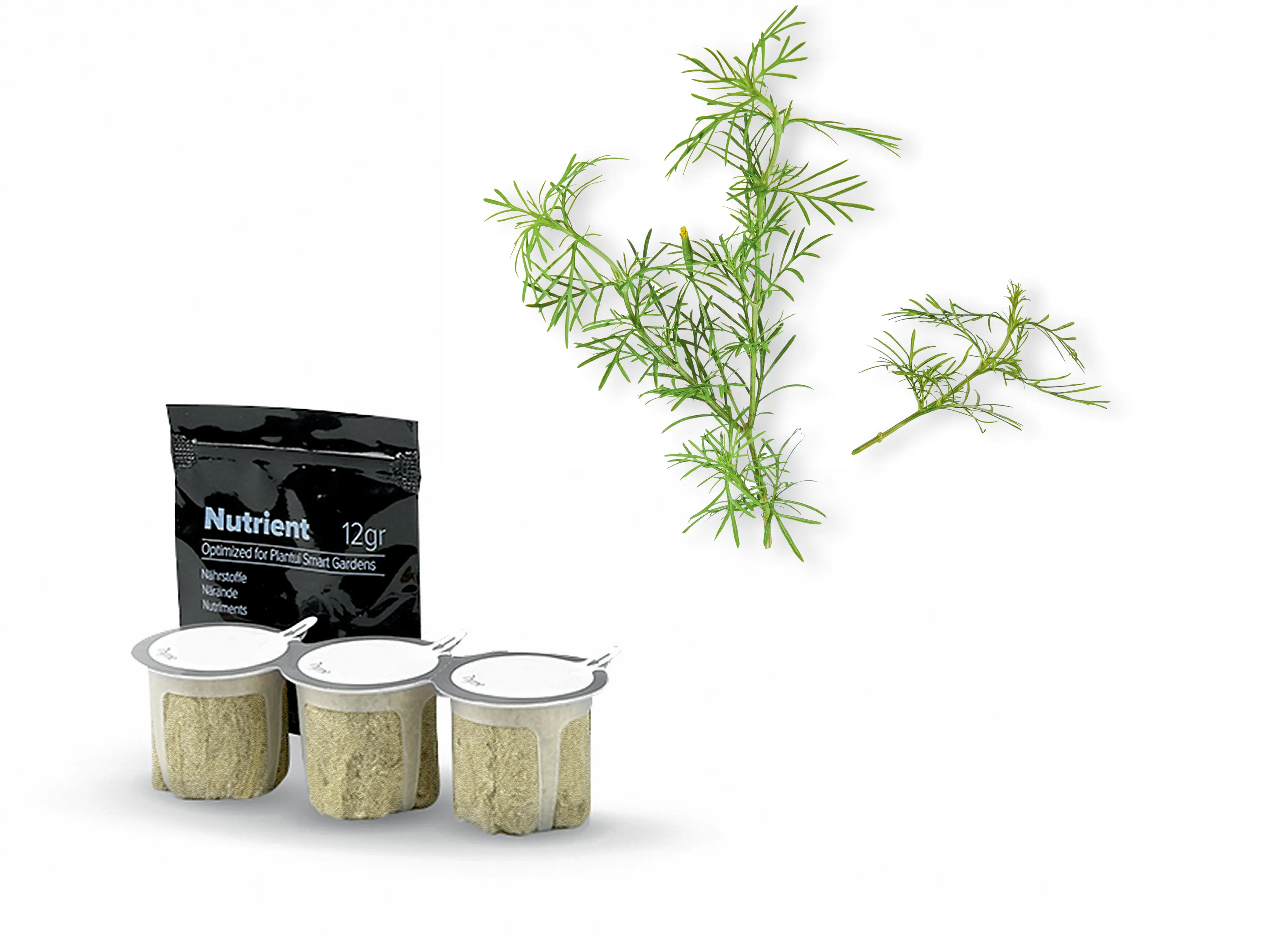 Foto n.º 1 del producto 17006727