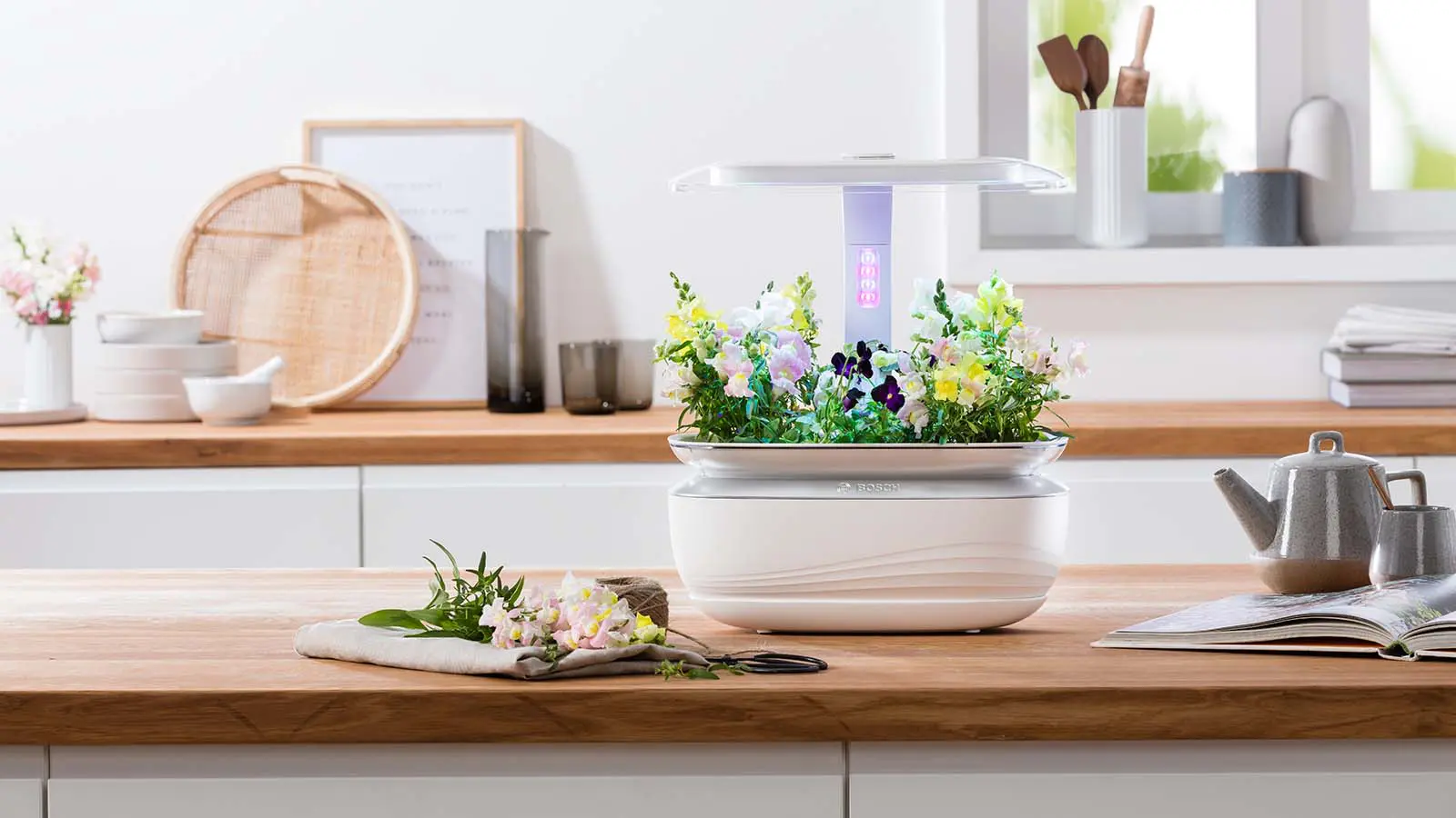 Foto-Vorschau Nr. 2 des Produkts