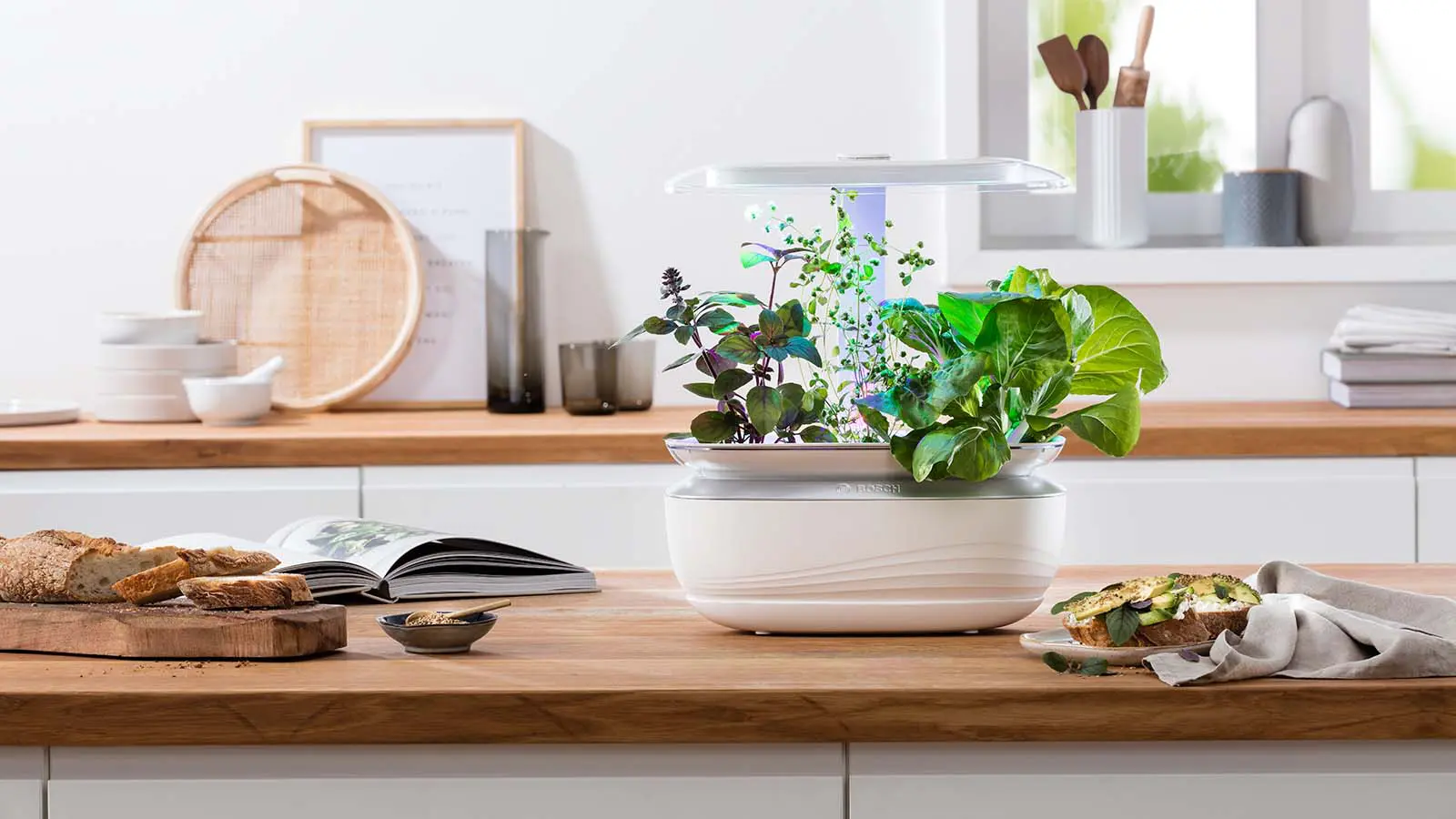 Foto-Vorschau Nr. 2 des Produkts