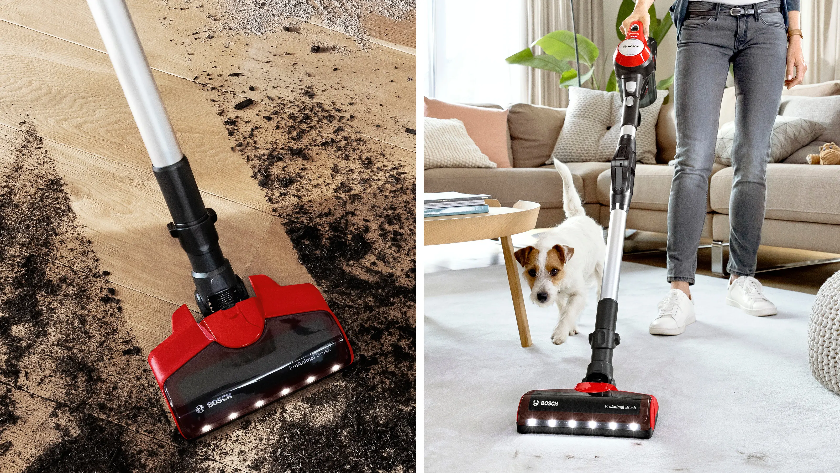 Foto-miniatuur nr. 3 van het product