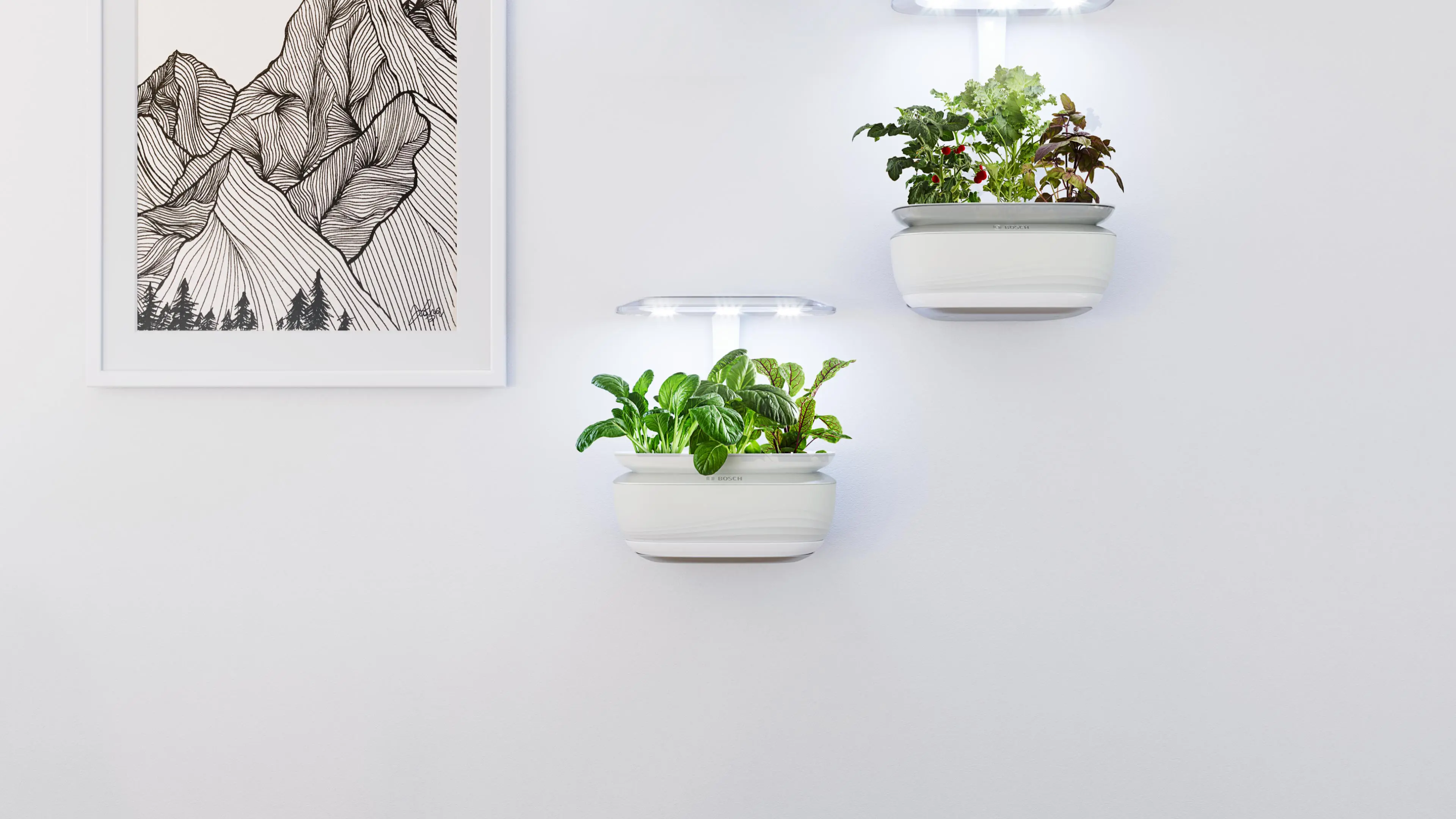 Foto nr. 5 van het product 17005619