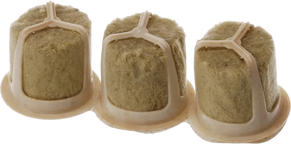 Foto Nr. 2 des Produkts 17005774