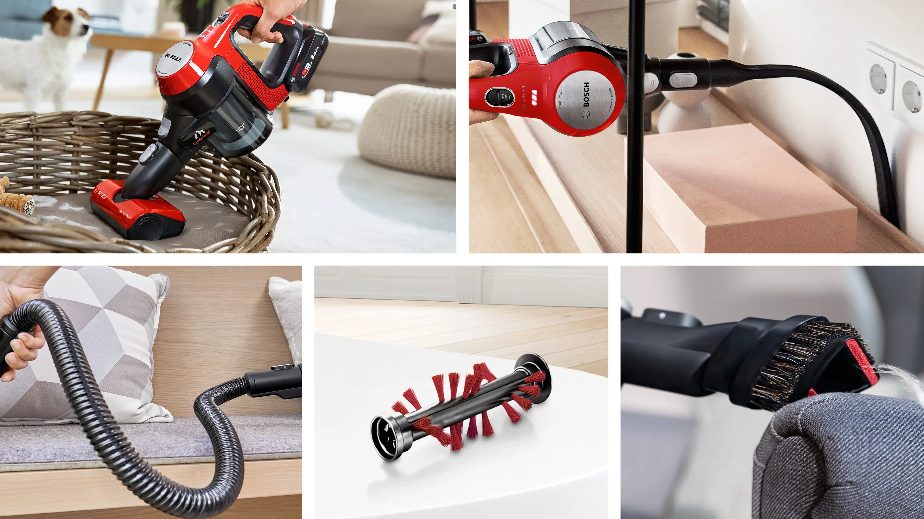 Photo Nr. 7 of the product BCS71PETAU