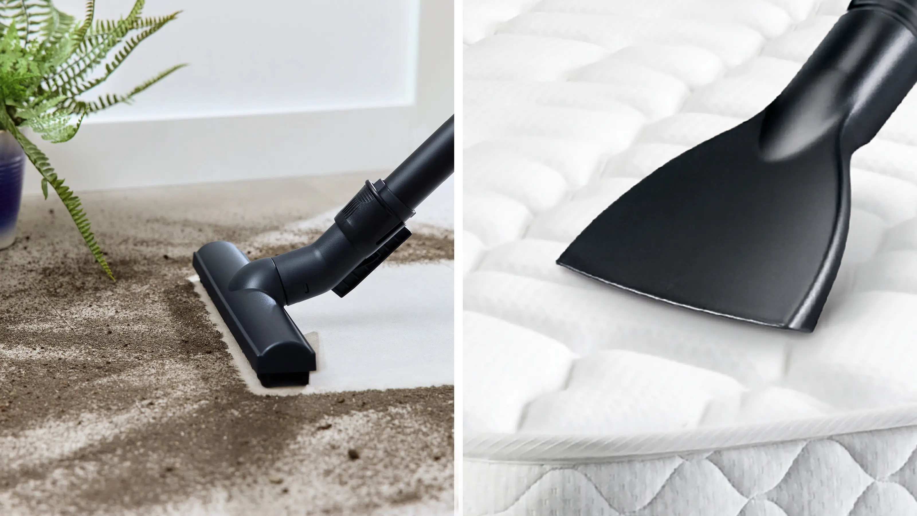 Photo n° 12 du produit