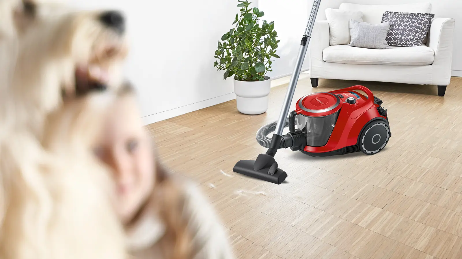 Photo thumb Nr. 3 of the product