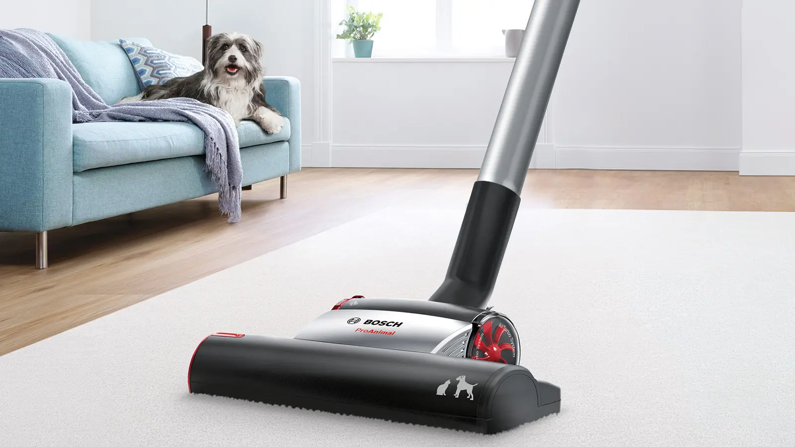 Photo thumb Nr. 9 of the product