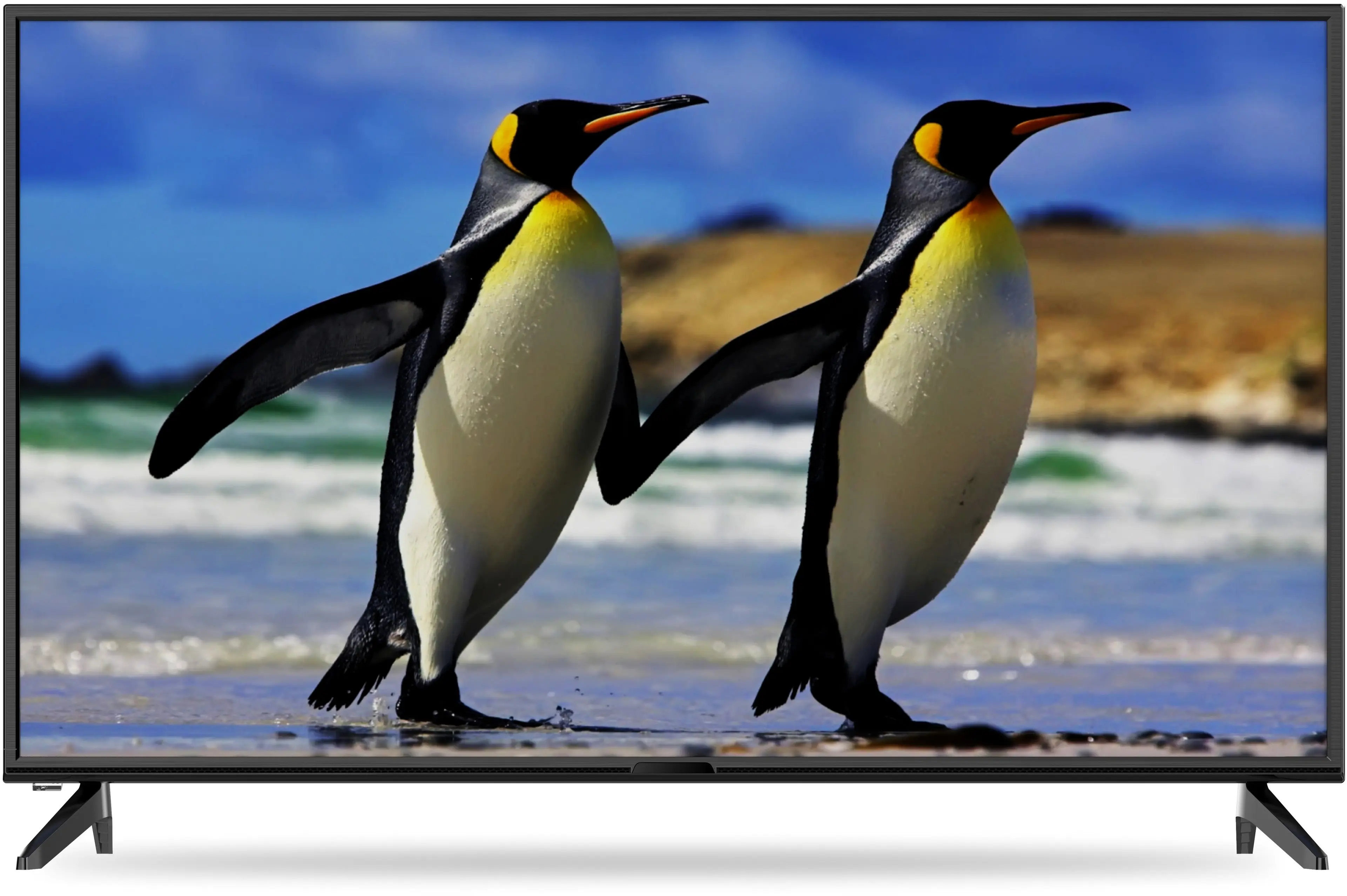 Ürününün Photo Nr. ı 1 42PA305E