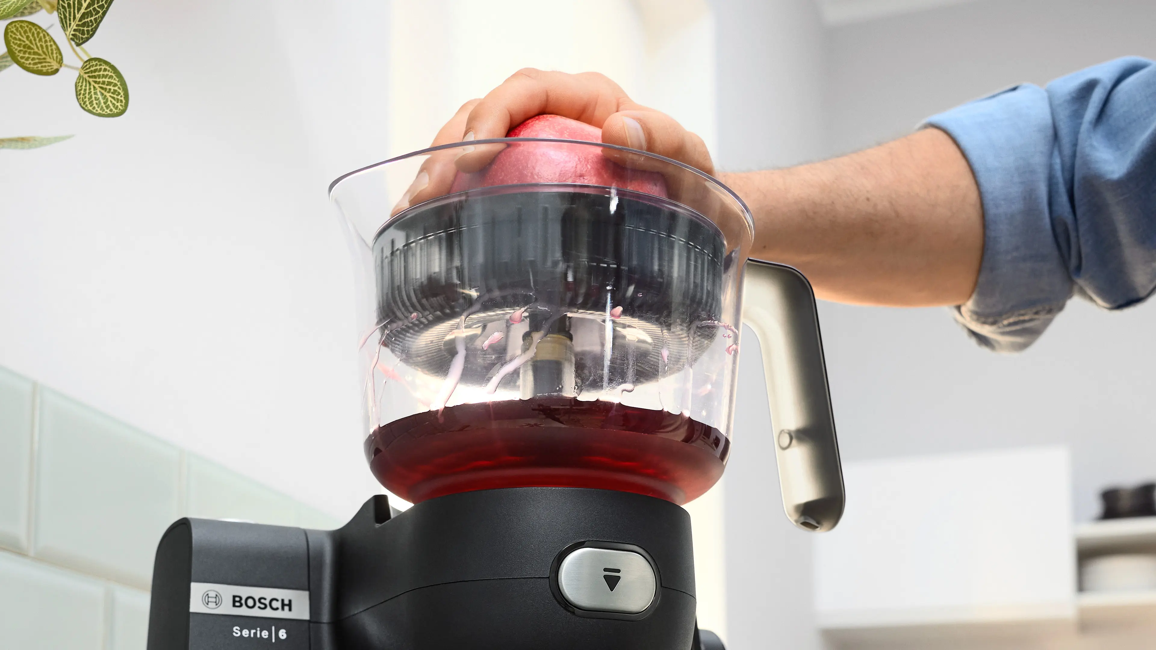 Photo thumb Nr. 5 of the product