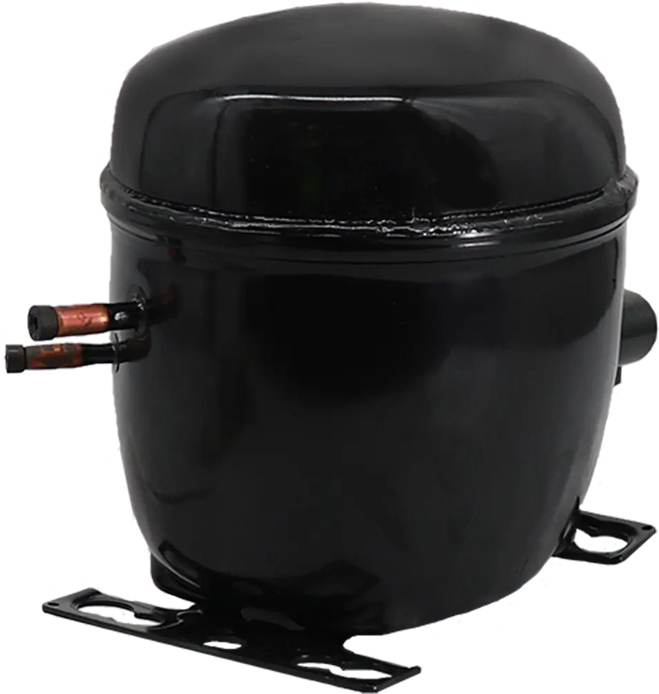 Photo Nr. 3 of the product 00239163