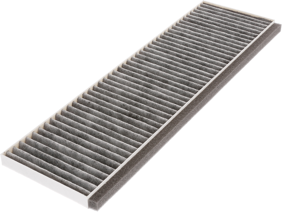 11059589 Standard odor filter | BOSCH SG