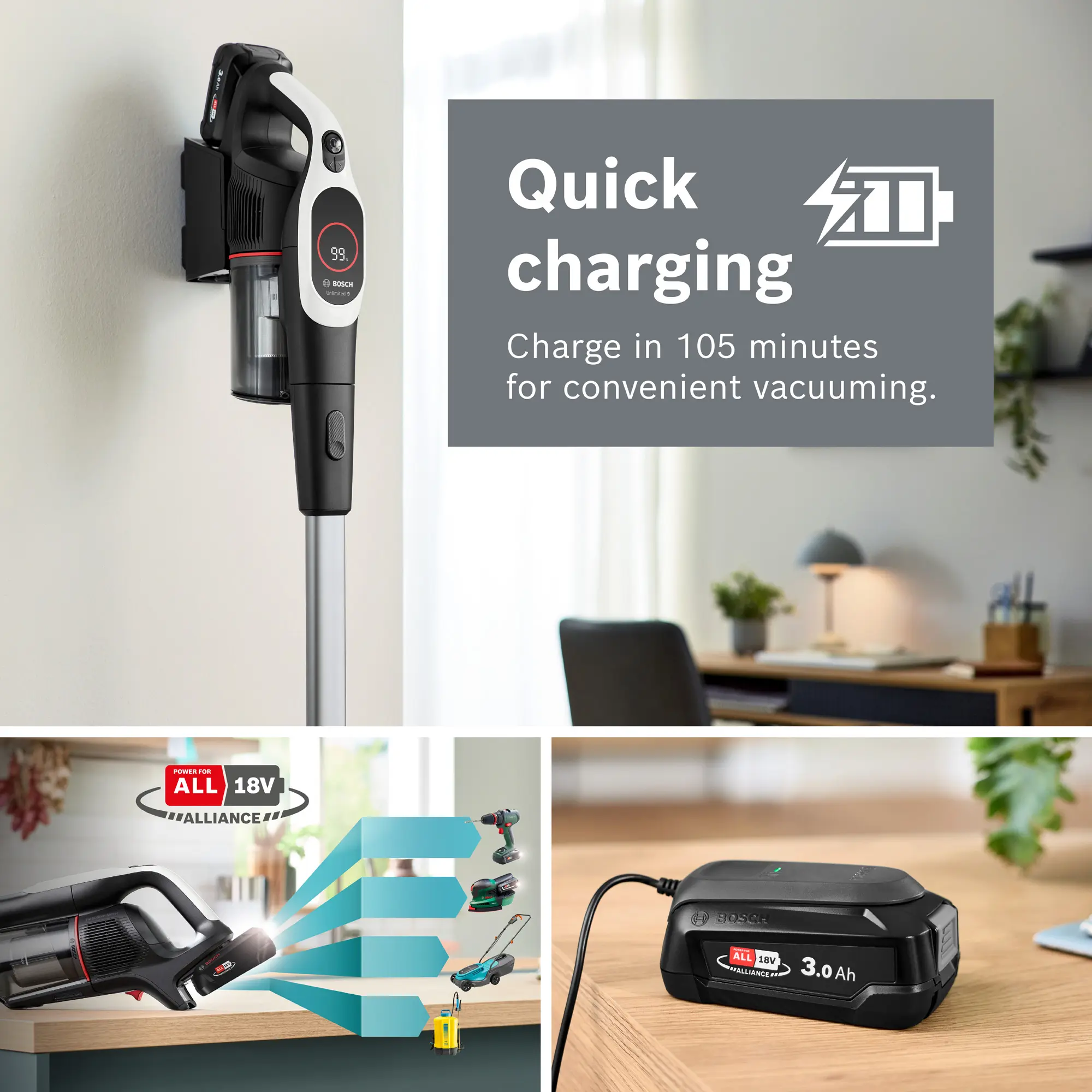 Photo Nr. 8 of the product BBS931WGB