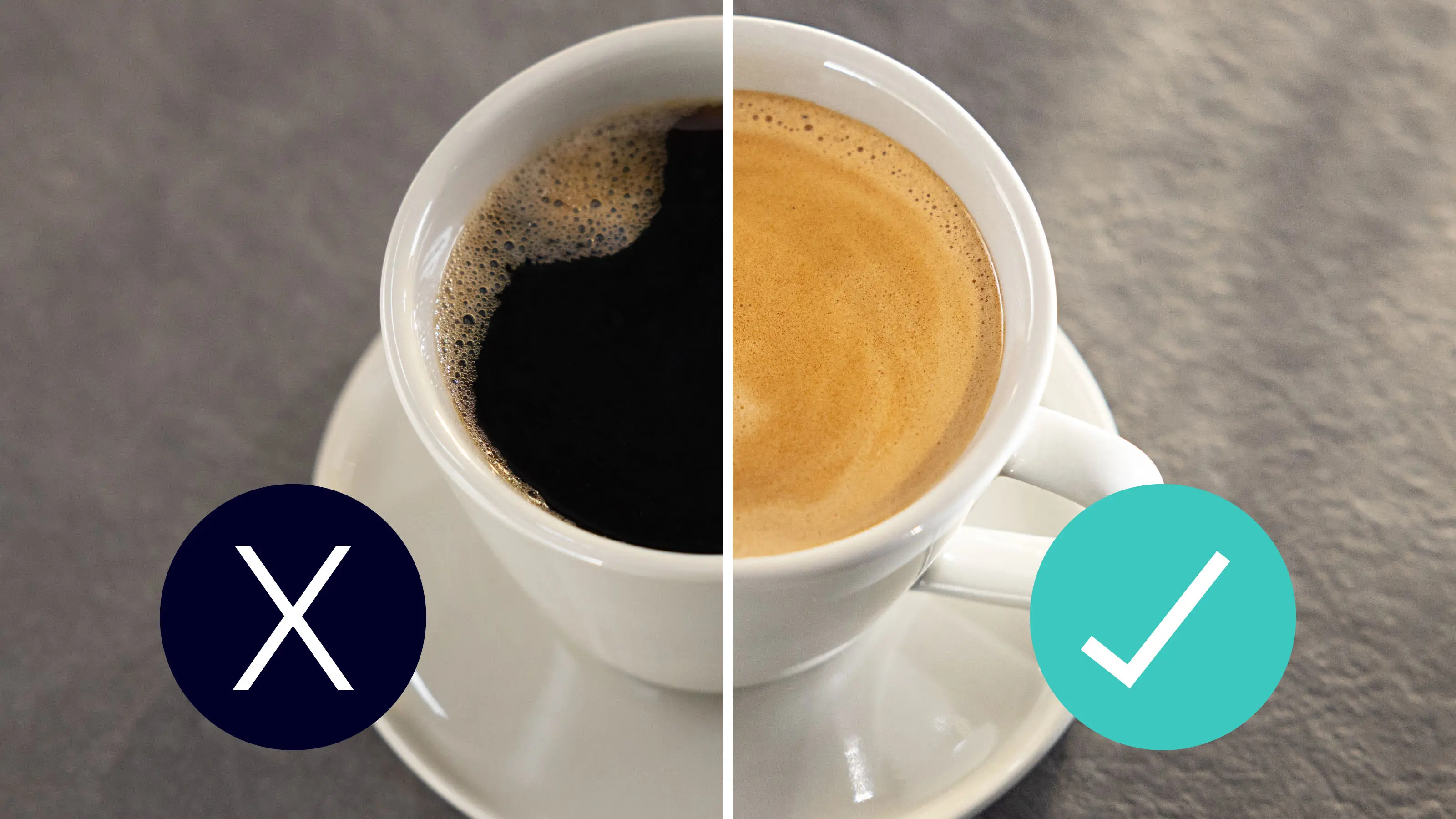 Photo n° 11 du produit TZ70033A