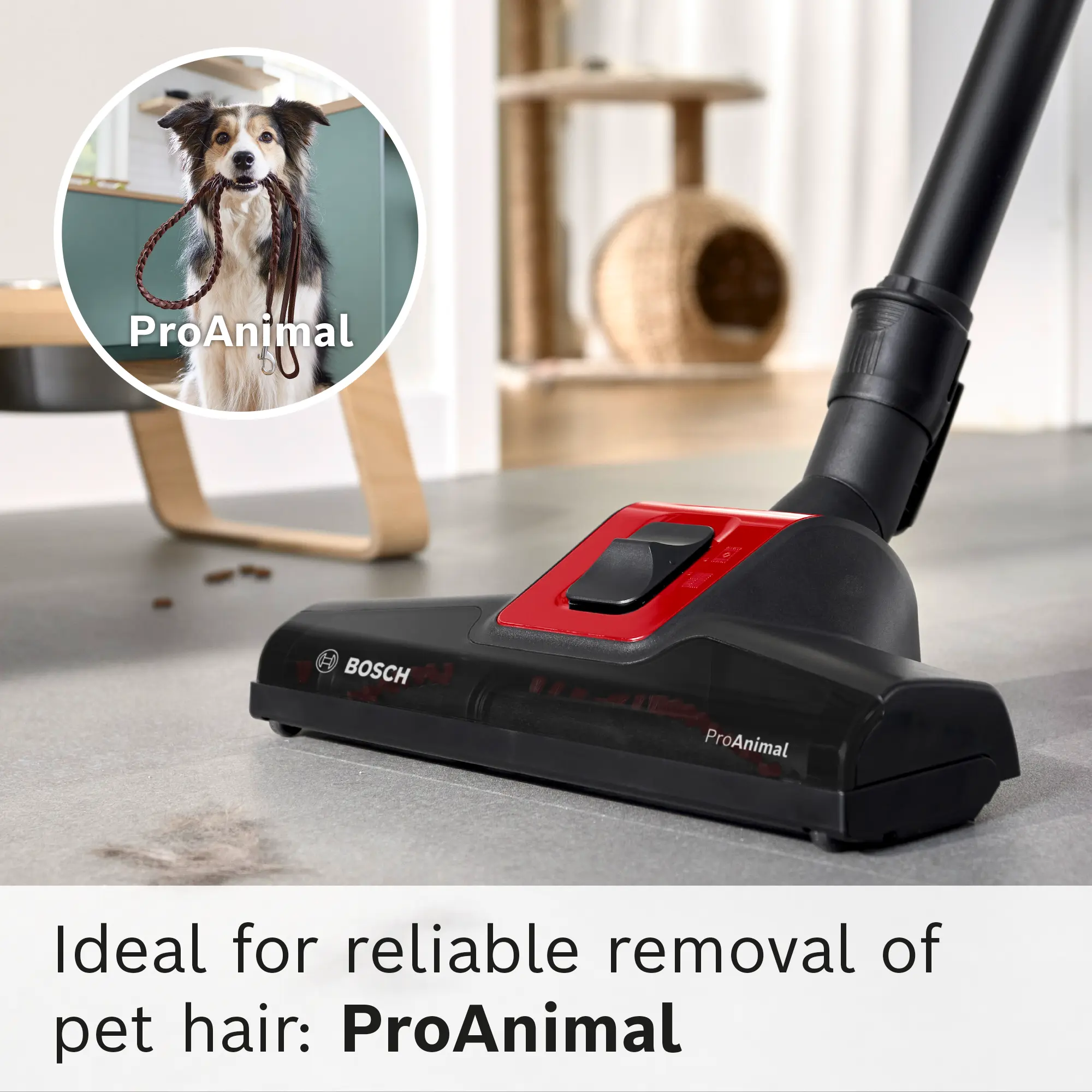 Photo Nr. 25 of the product BGL6PET1GB