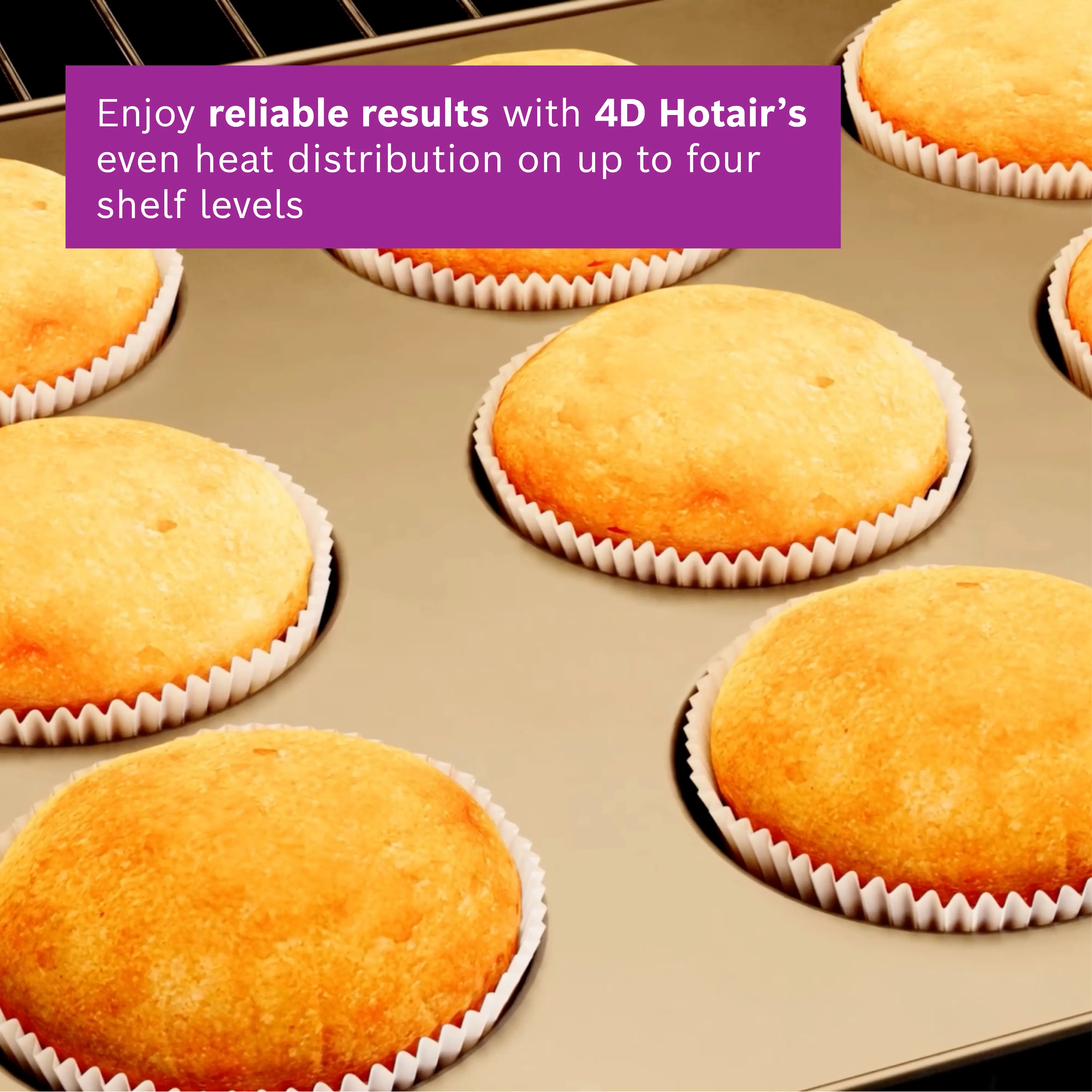 Photo Nr. 11 of the product HSG7364B1B