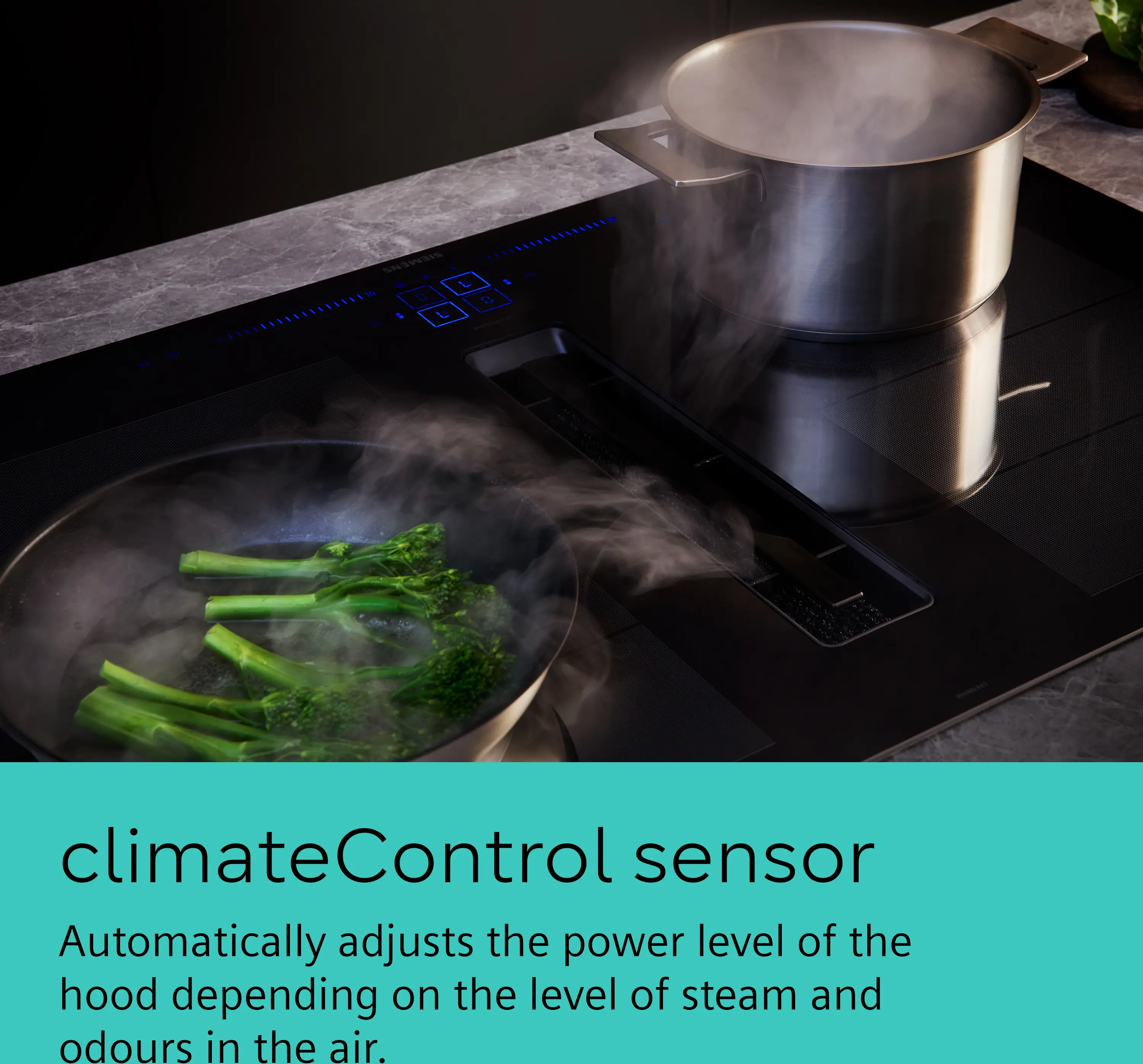 Photo thumb Nr. 11 of the product