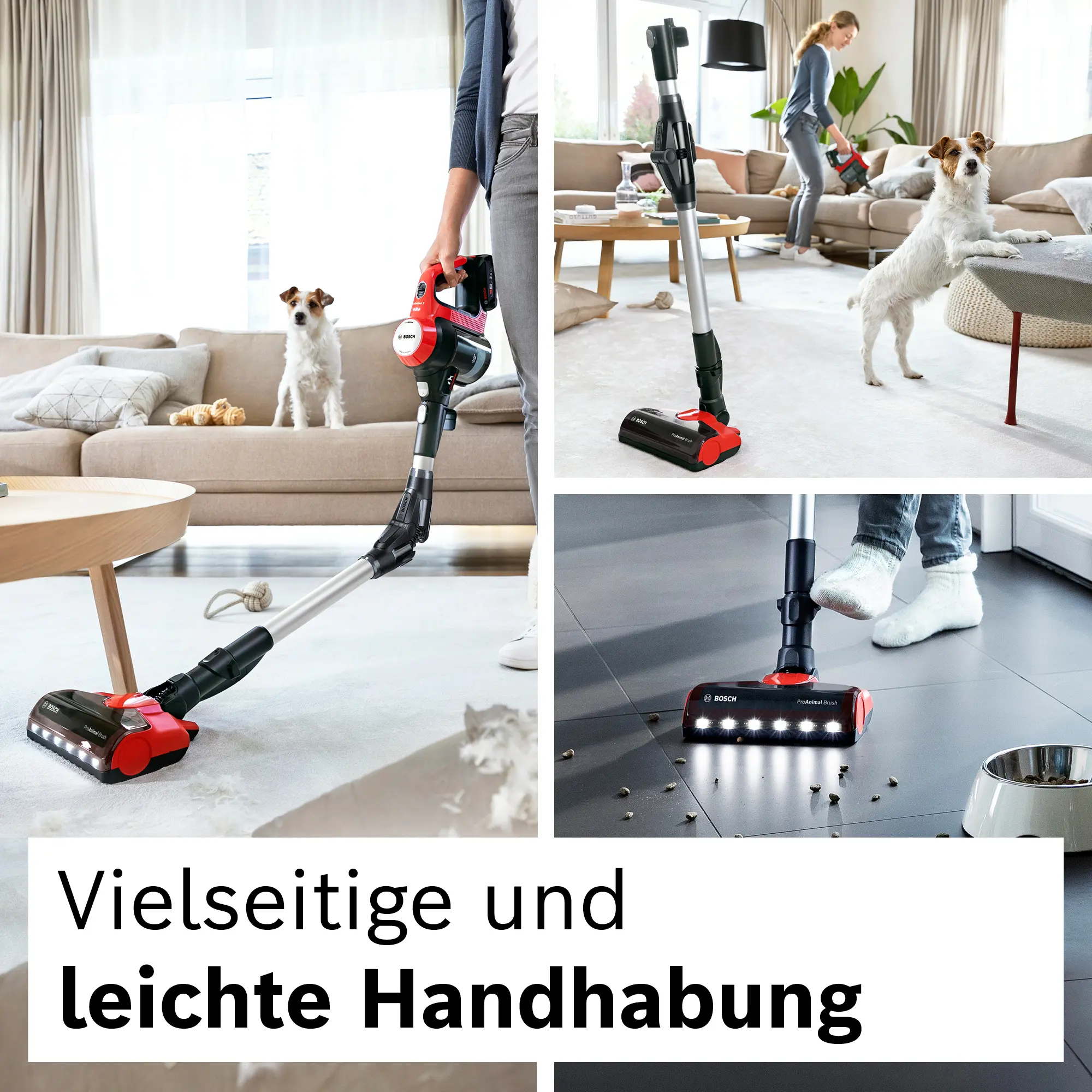 Bild Nr. 5 des Produkts BKS711PET