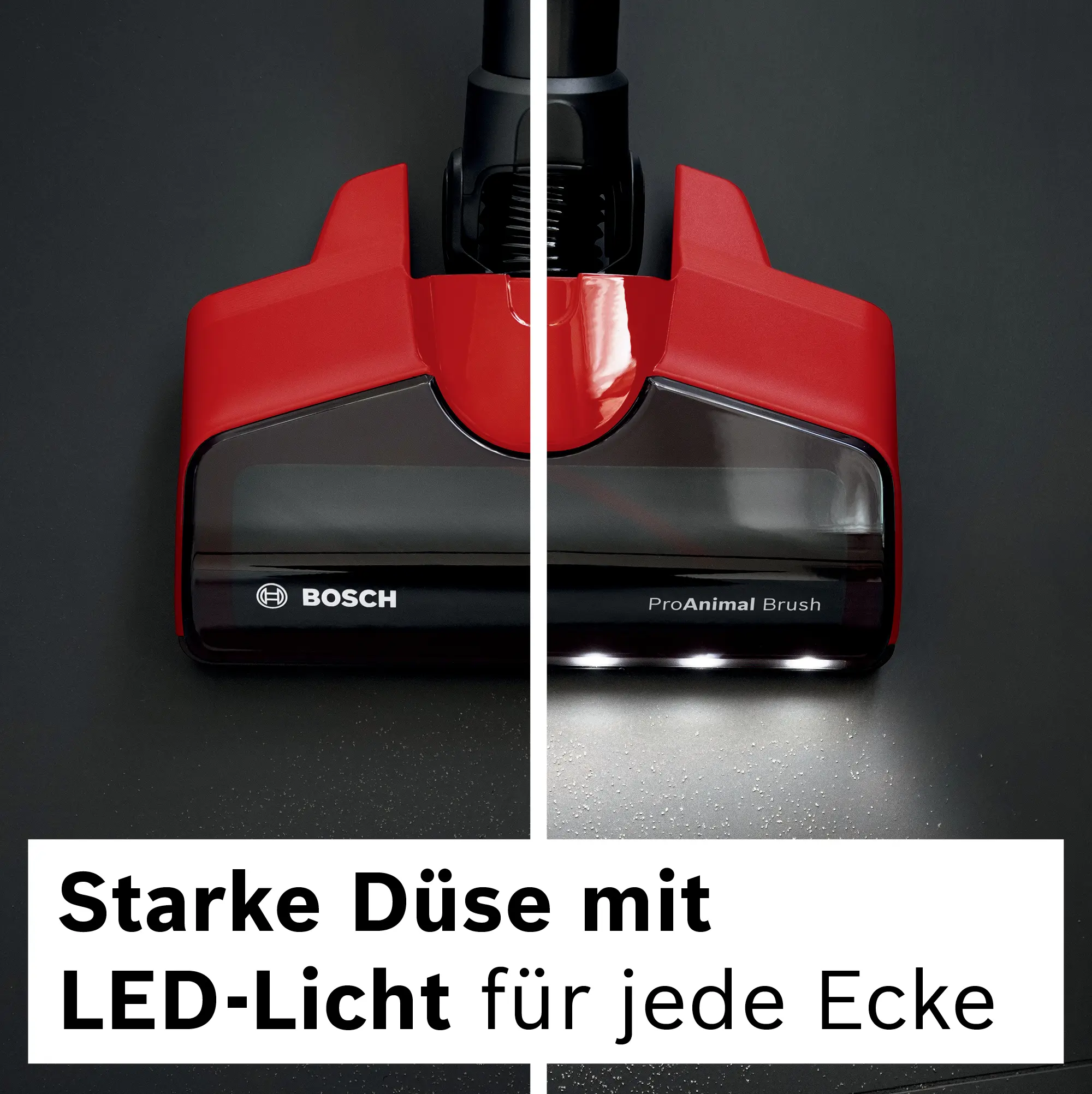 Bild Nr. 12 des Produkts BKS711PET