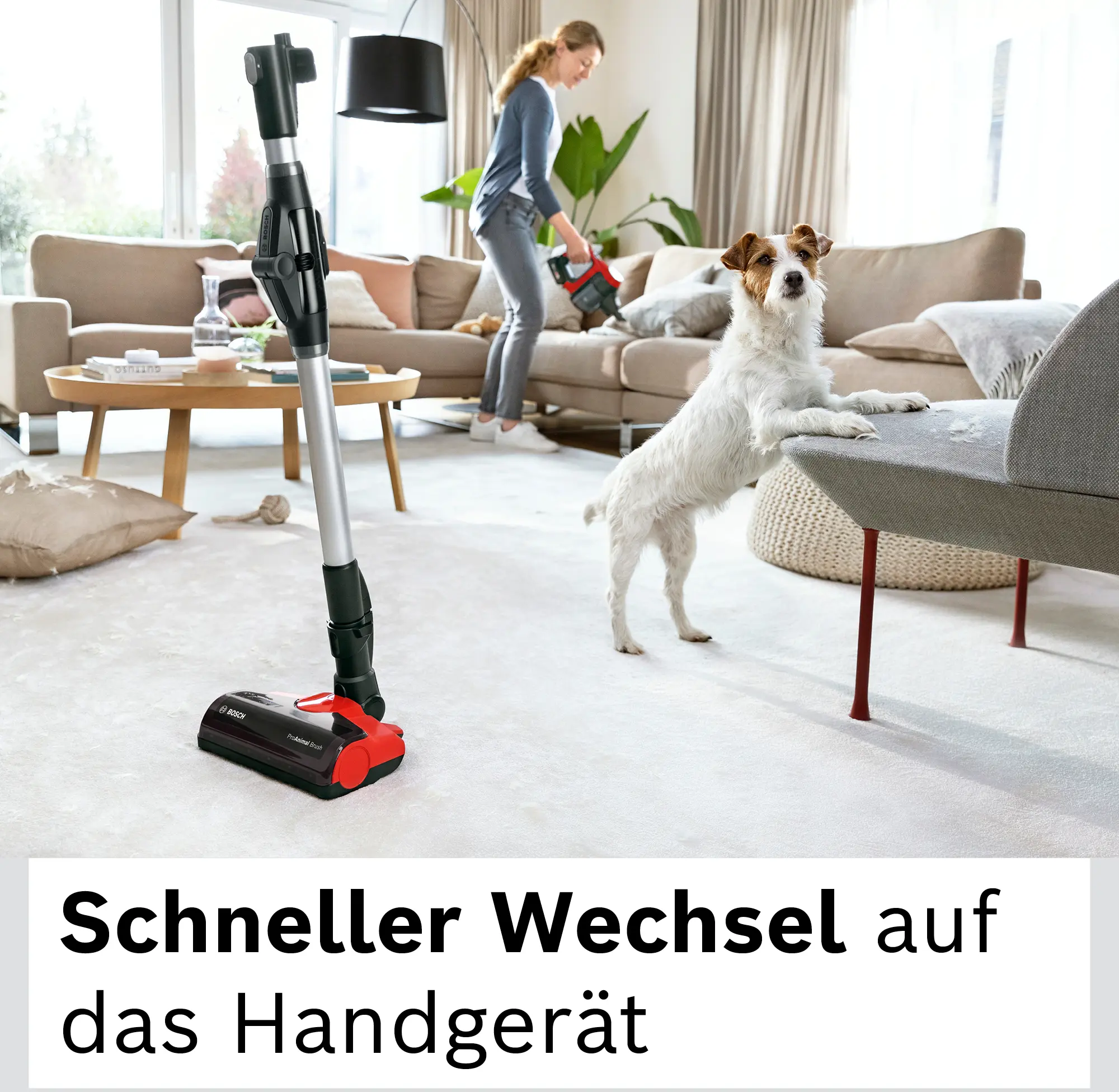 Bild Nr. 13 des Produkts BKS711PET