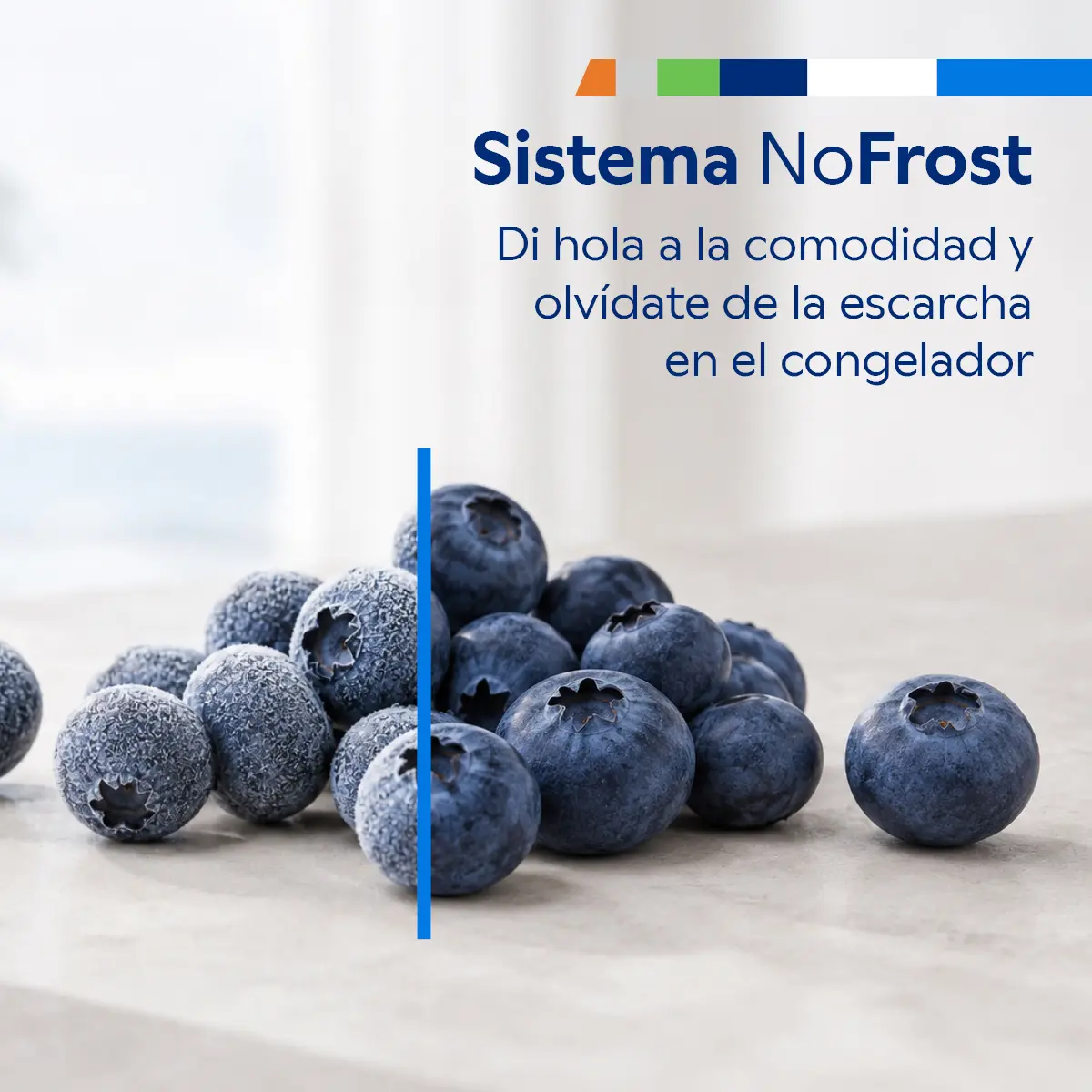 Foto nº 5 del producto