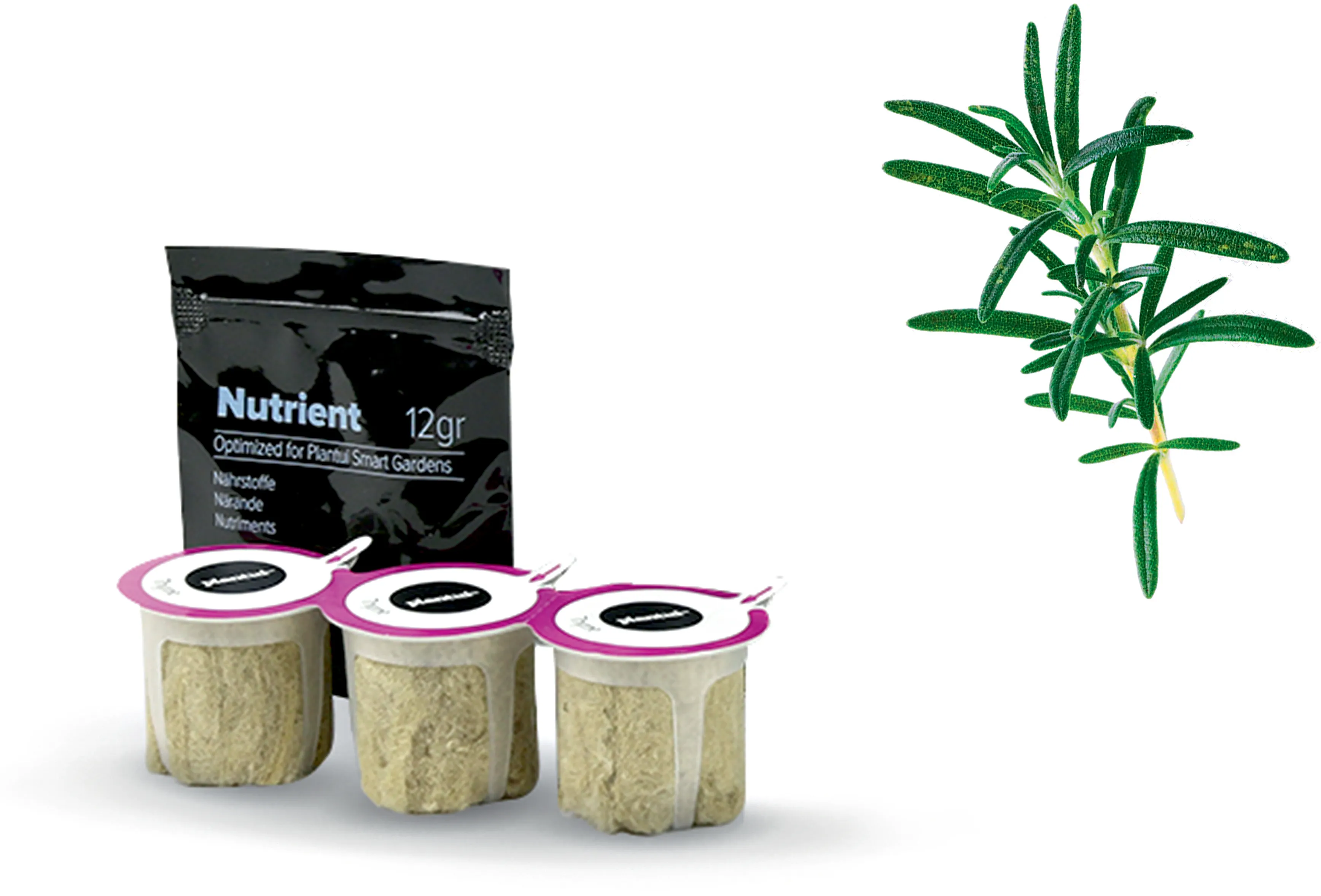 Foto n.º 1 del producto MSGZH024