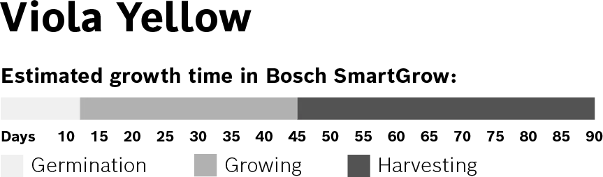 Foto nr. 3 van het product MSGZF007