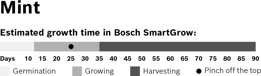 Foto n.º 3 del producto MSGZH011